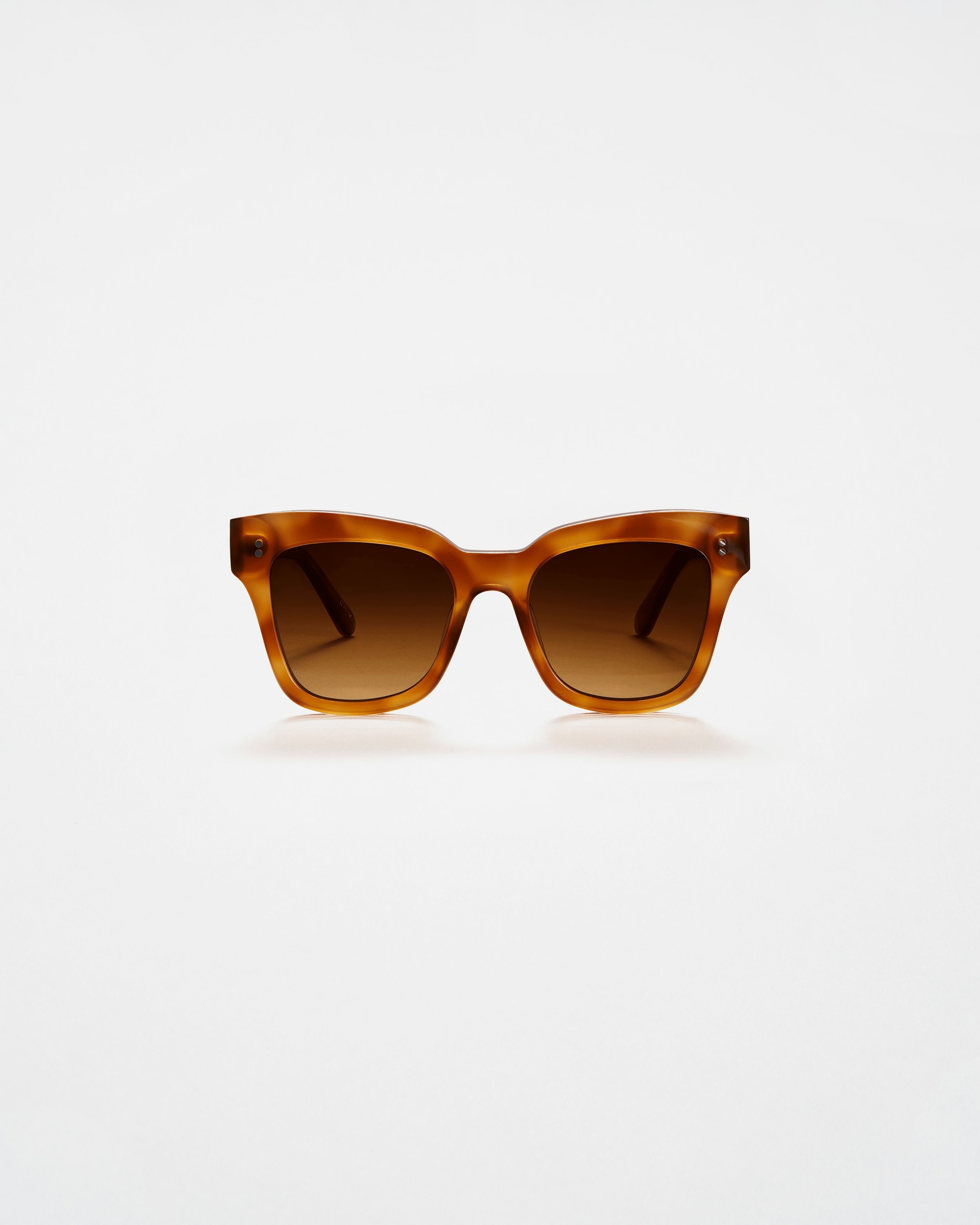 07 Havana (2021) Sunglasses – CHIMI display picture 1